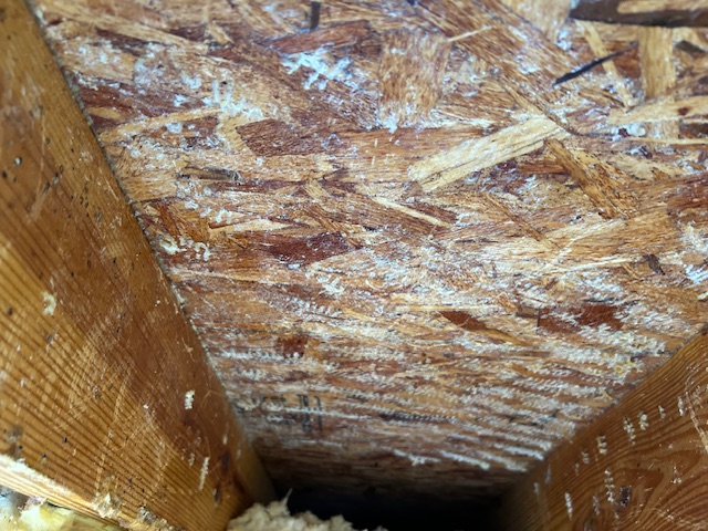 Comb removed, final cleanup in progress