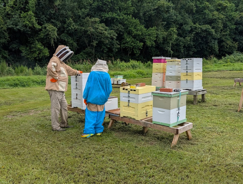 Local Beekeeping in Kinston NC
