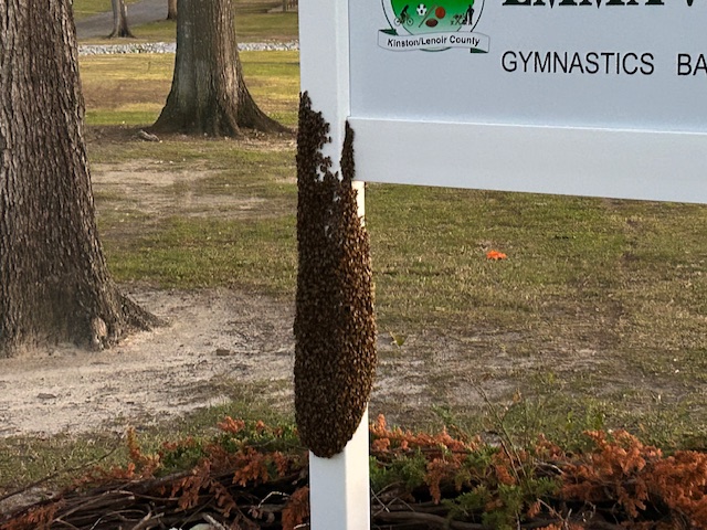 Swarm picked up at Emma Webb Park on 04/01/2026